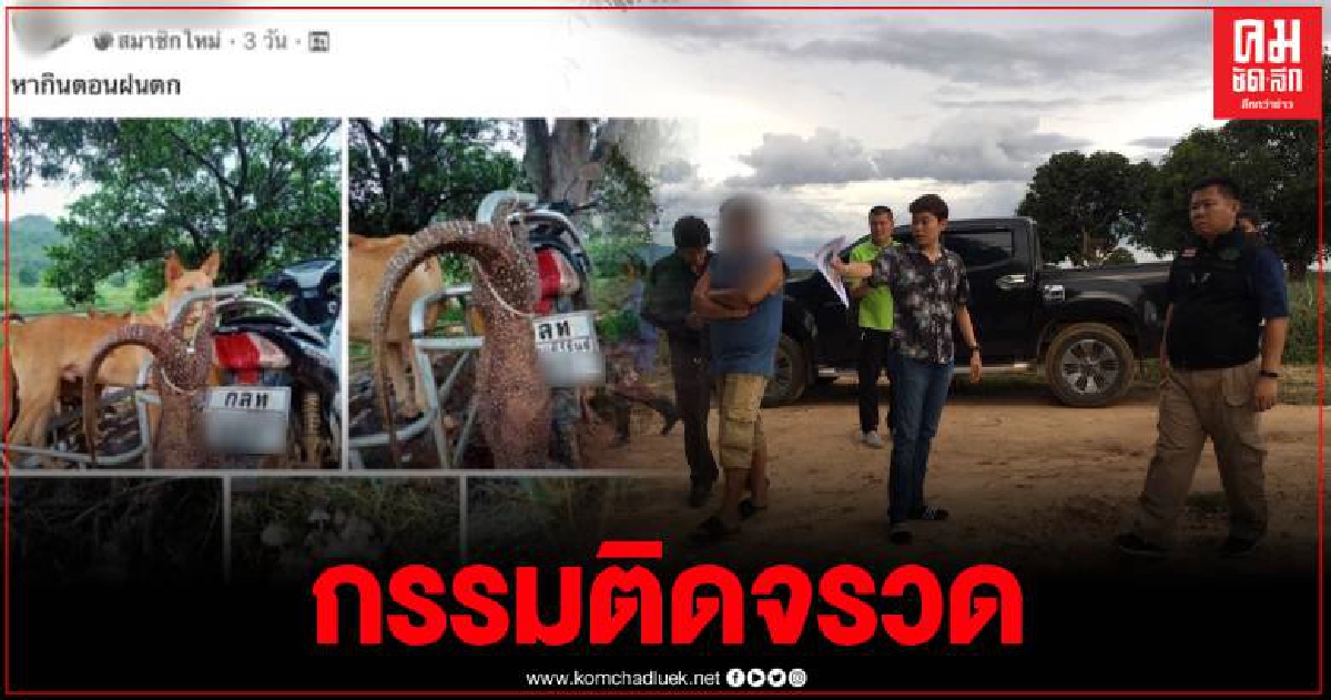 ฉก.พญาเสือ รวบหนุ่มกุยบุรี โพสต์เฟซบุ๊กโชว์ ล่าสัตว์ป่าคุ้มครอง ฉก.พญาเสือ รวบหนุ่มกุยบุรี โพสต์เฟซบุ๊กโชว์ ล่าสัตว์ป่าคุ้มครอง