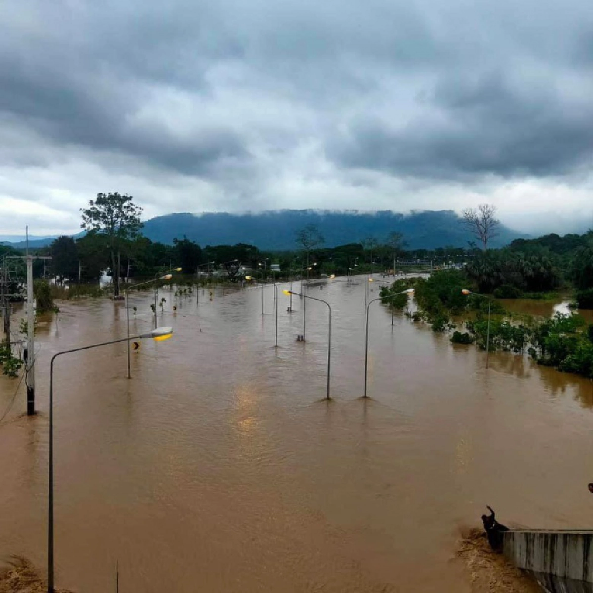 แขวงทางหลวงปราจีนบุรีรายงานความคืบหน้า น้ำป่าทะลักเข้าท่วมอุโมงค์ 304 กบินทร์บุรี-โคราช