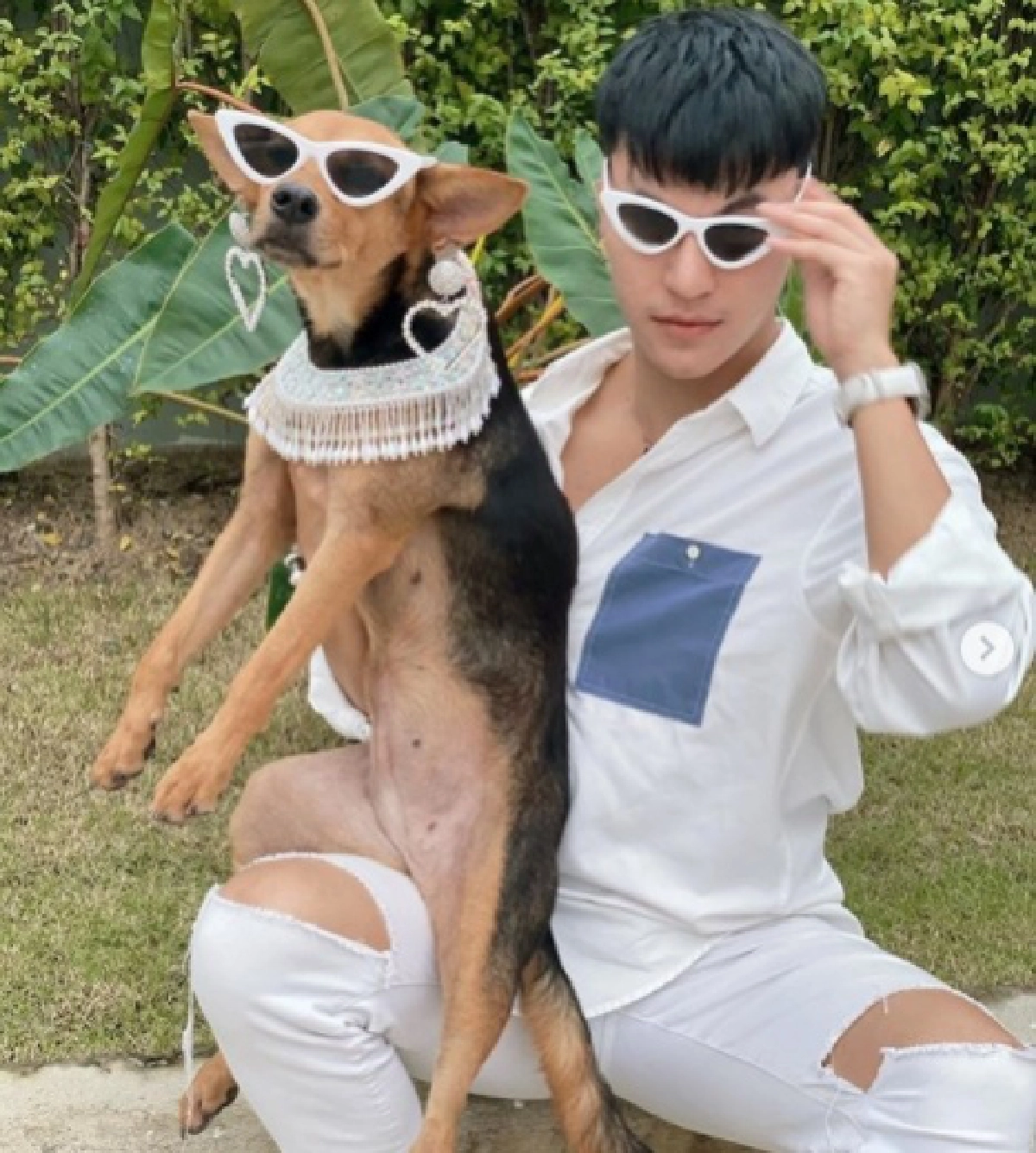 พระทัก "หมูทะ" กับ "บูม"  เป็นหมาเพื่อนรักกันเมื่อชาติที่แล้ว 