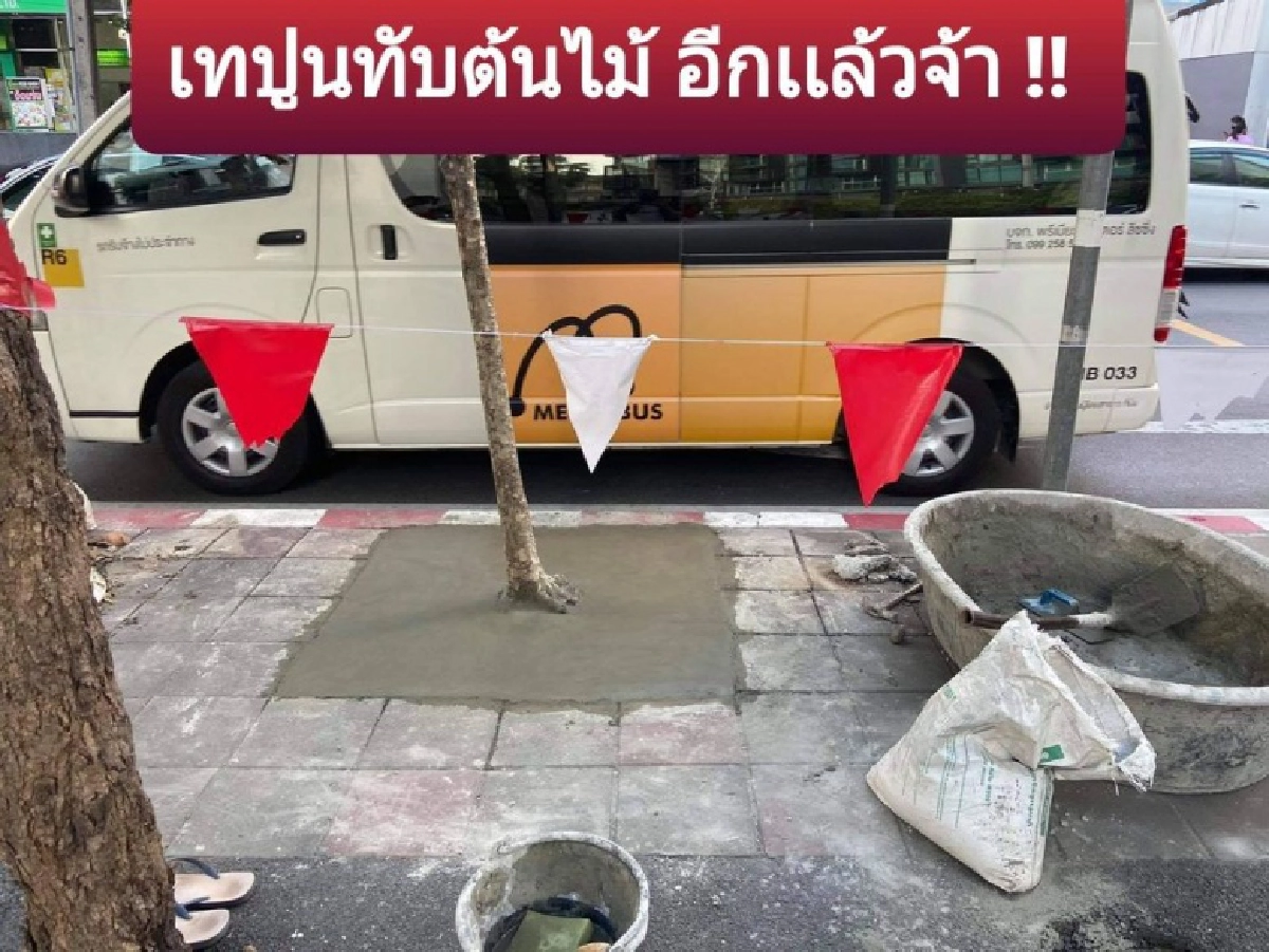 คิดได้ไง แชร์สนั่นเทปูนทับต้นไม้ ชาวเน็ตจวกยับสุดมักง่าย