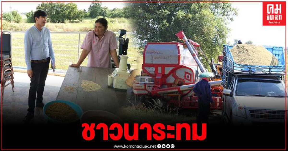 ชาวนาพิจิตรระทม หลังเก็บเกี่ยวหอมมะลิ โรงสีรับซื้อไม่ถึงหมื่น เฝ้ารอมาตรการรัฐช่วย ชาวนาพิจิตรระทม หลังเก็บเกี่ยวหอมมะลิ โรงสีรับซื้อไม่ถึงหมื่น เฝ้ารอมาตรการรัฐช่วย