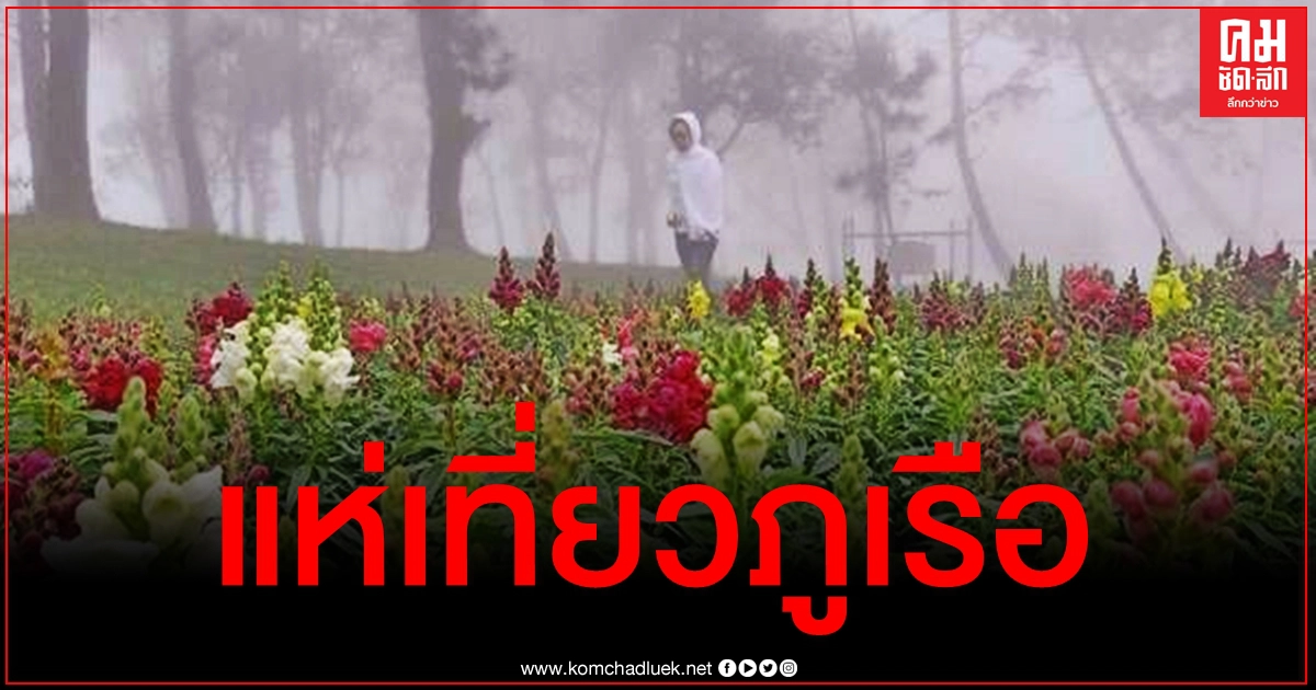 ภูเรือหนาวเย็น-ลมแรง นทท.คึกคักแห่ชมทะเลหมอก ภูเรือหนาวเย็น-ลมแรง นทท.คึกคักแห่ชมทะเลหมอก