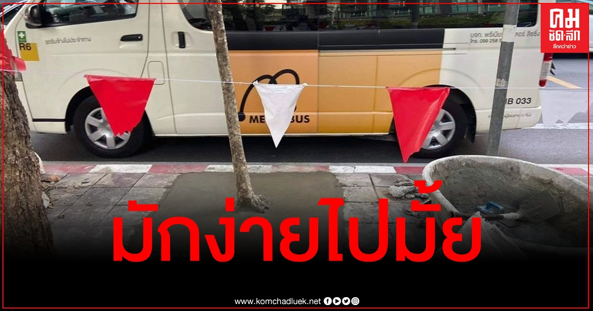 คิดได้ไง แชร์สนั่นเทปูนทับต้นไม้ ชาวเน็ตจวกยับสุดมักง่าย คิดได้ไง แชร์สนั่นเทปูนทับต้นไม้ ชาวเน็ตจวกยับสุดมักง่าย