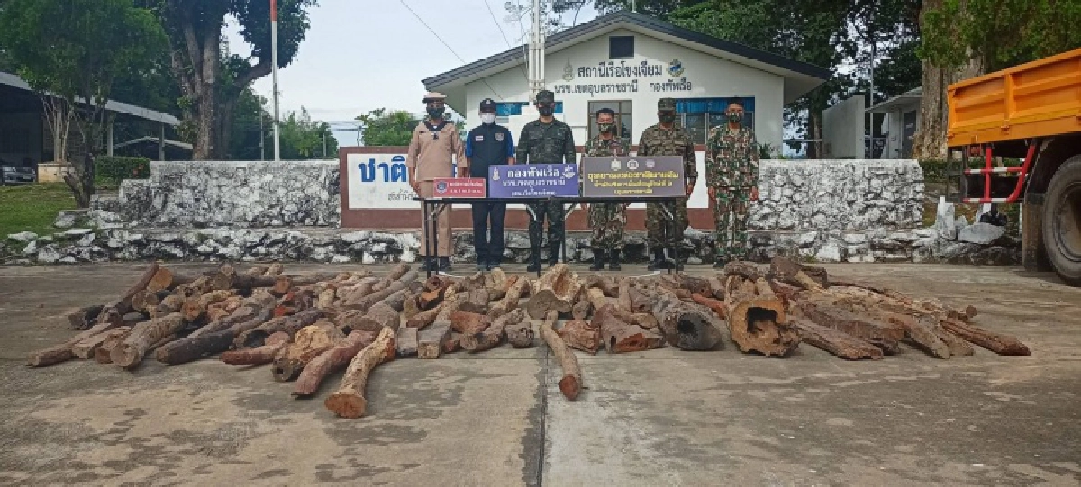 นรข.โขงเจียมบุกป่าช้า ยึดไม้พะยูงกว่า 100 ท่อน เตรียมส่งข้ามโขง