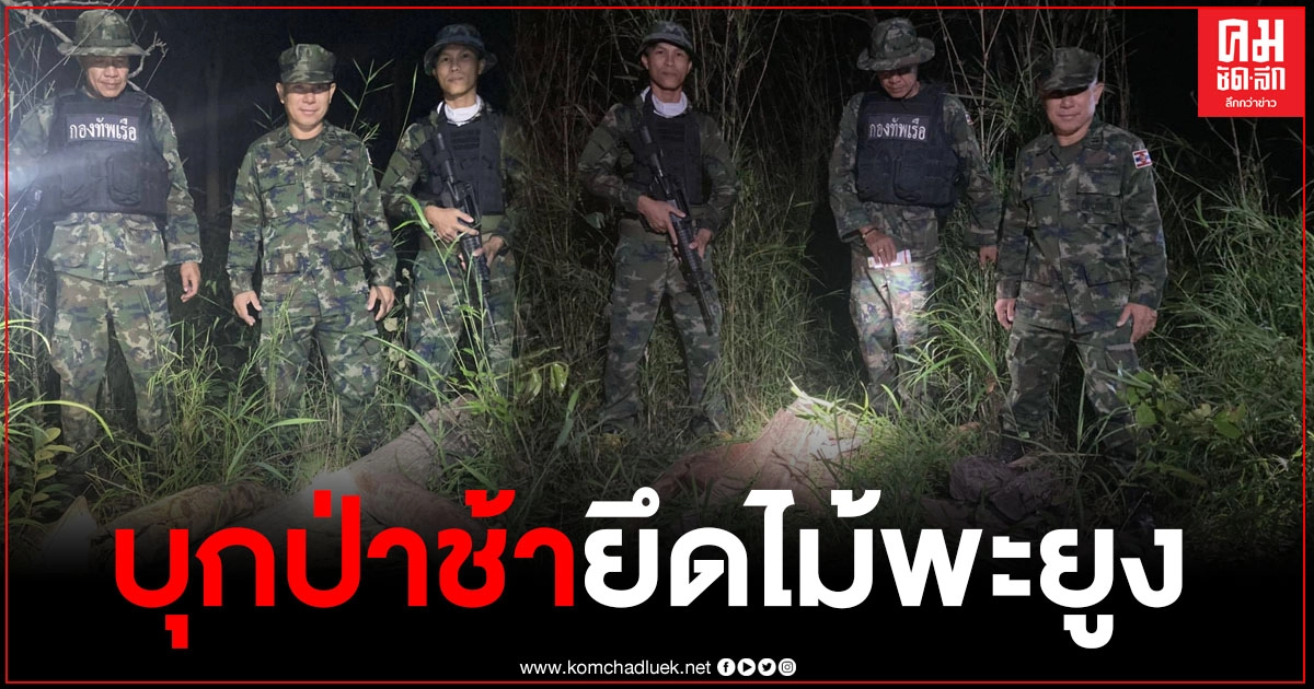 นรข.โขงเจียมบุกป่าช้า ยึดไม้พะยูงกว่า 100 ท่อน เตรียมส่งข้ามโขง นรข.โขงเจียมบุกป่าช้า ยึดไม้พะยูงกว่า 100 ท่อน เตรียมส่งข้ามโขง