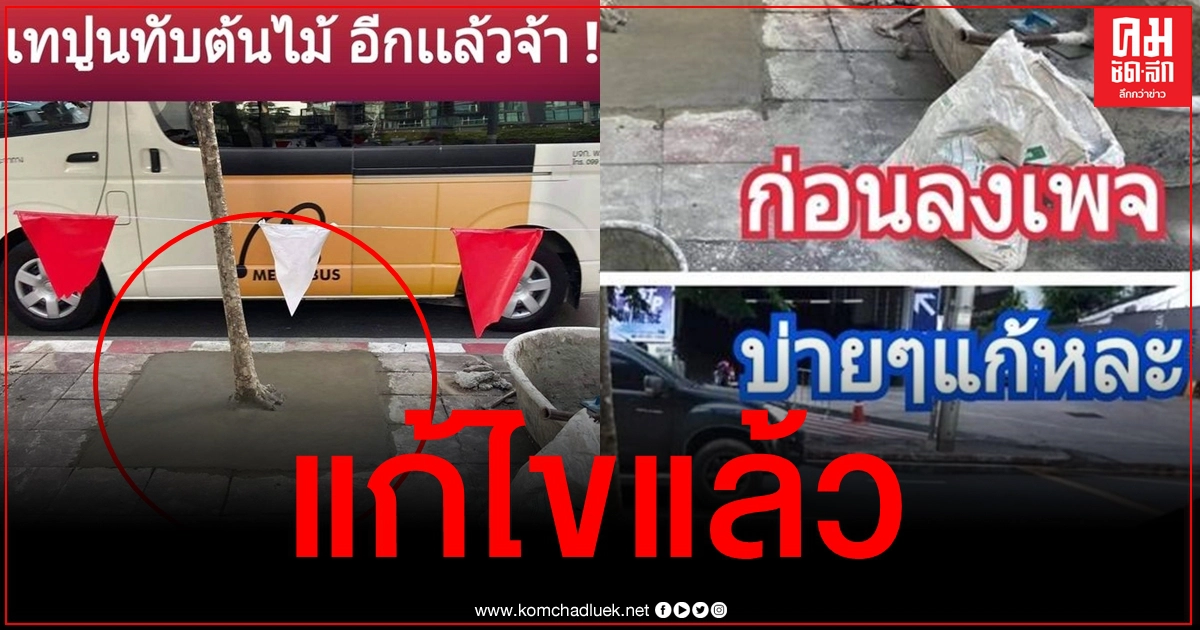 เผยภาพล่าสุด ต้นไม้ถูกเทปูนทับ เพจดังลั่นยอมใจ เรื่องง่ายๆแค่นี้ทำไมคิดไม่ได้
