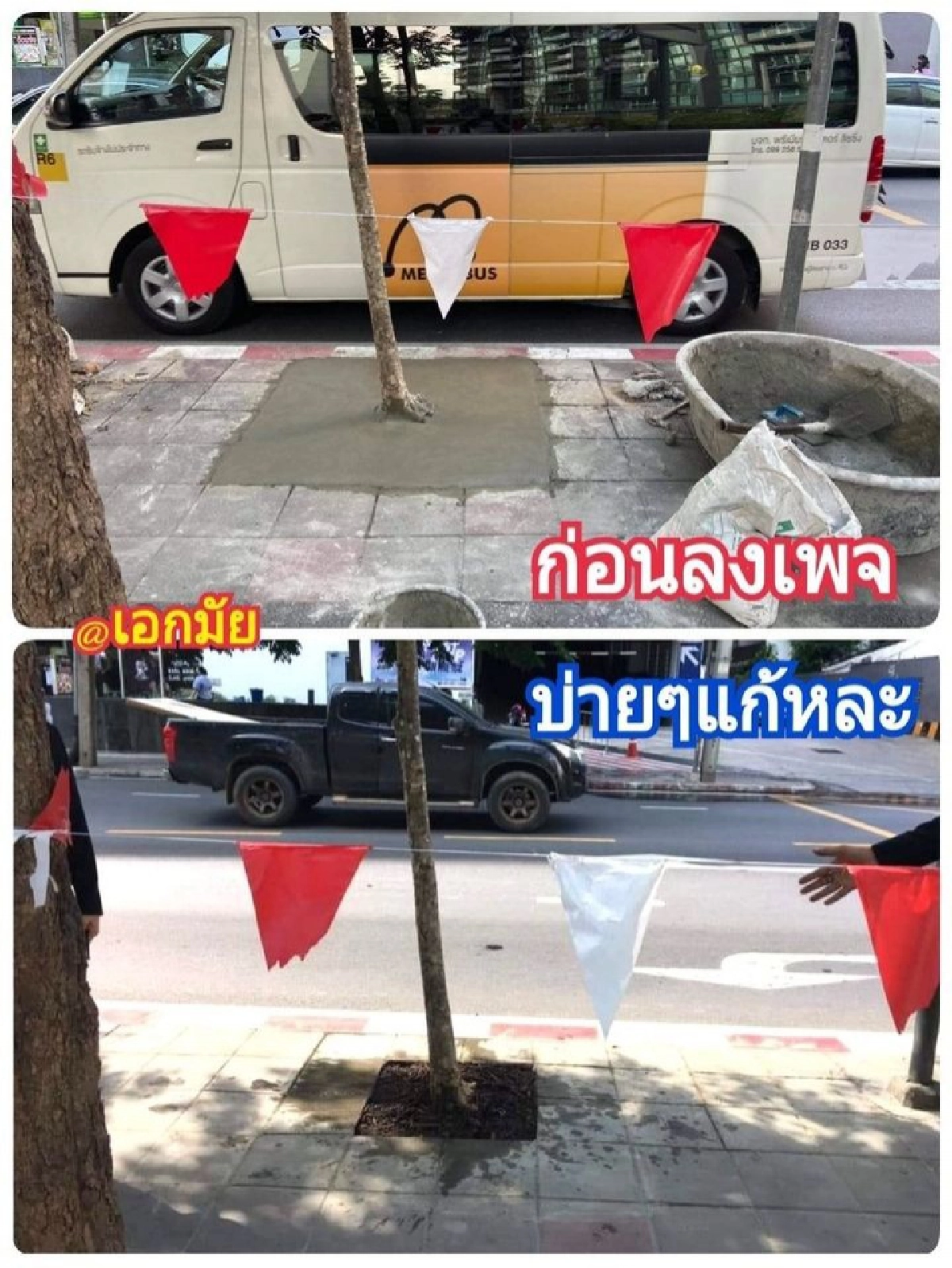 เทปูนทับต้นไม้