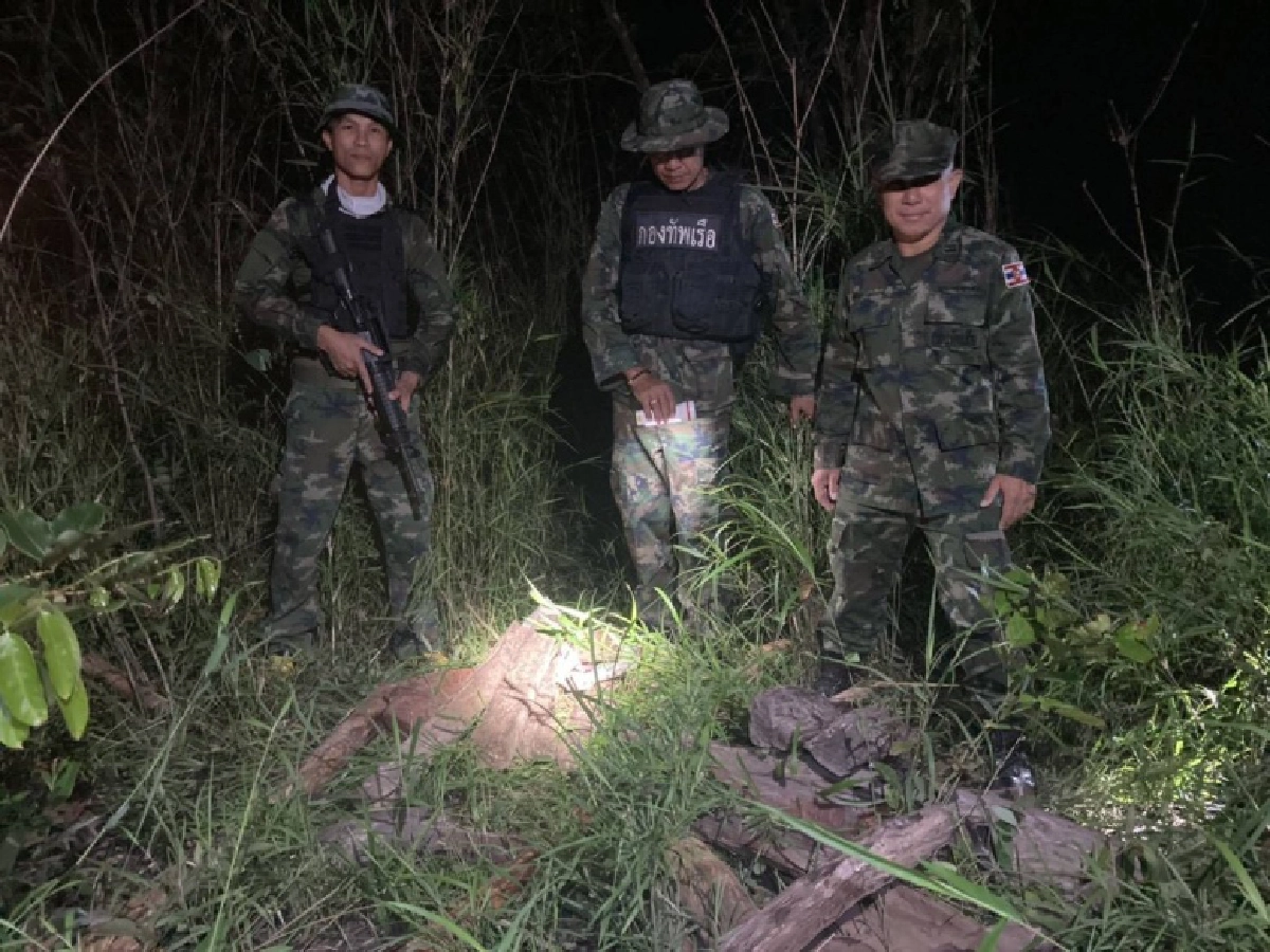นรข.โขงเจียมบุกป่าช้า ยึดไม้พะยูงกว่า 100 ท่อน เตรียมส่งข้ามโขง