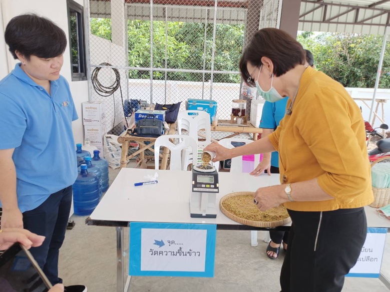 พาณิชย์จังหวัดลำพูน" เปิดตลาดนัดข้าวเปลือก 5-7 พ.ย.นี้