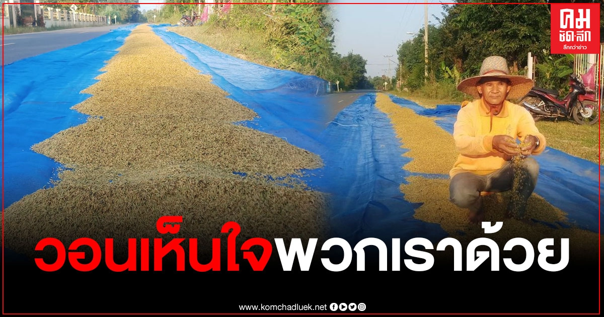 ชาวนาครวญ วอน จนท.ของรัฐโปรดเห็นใจ หลังโซเชียลวิจารณ์กระหึ่ม เรื่องการนำข้าวออกมาตากแดดกลางถนน (คลิป) ชาวนาครวญ วอน จนท.ของรัฐโปรดเห็นใจ หลังโซเชียลวิจารณ์กระหึ่ม เรื่องการนำข้าวออกมาตากแดดกลางถนน (คลิป)