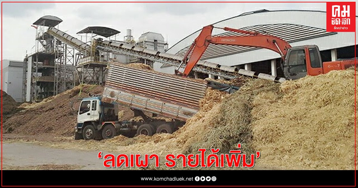 ACE ขานรับนโยบายลด PM 2.5 ชูแนวทาง "ลดเผา รายได้เพิ่ม ACE ขานรับนโยบายลด PM 2.5 ชูแนวทาง "ลดเผา รายได้เพิ่ม