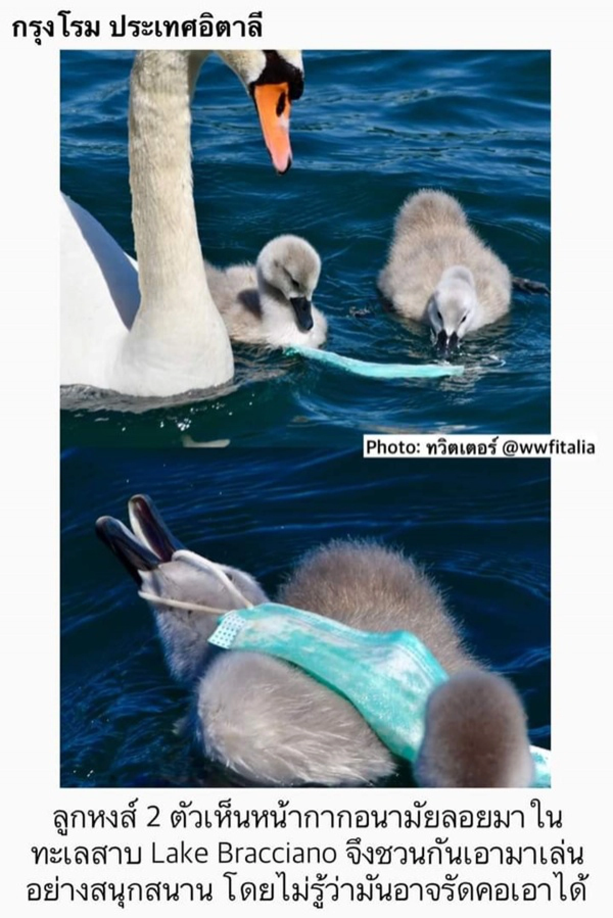 โควิด-19, หน้ากากอนามัย