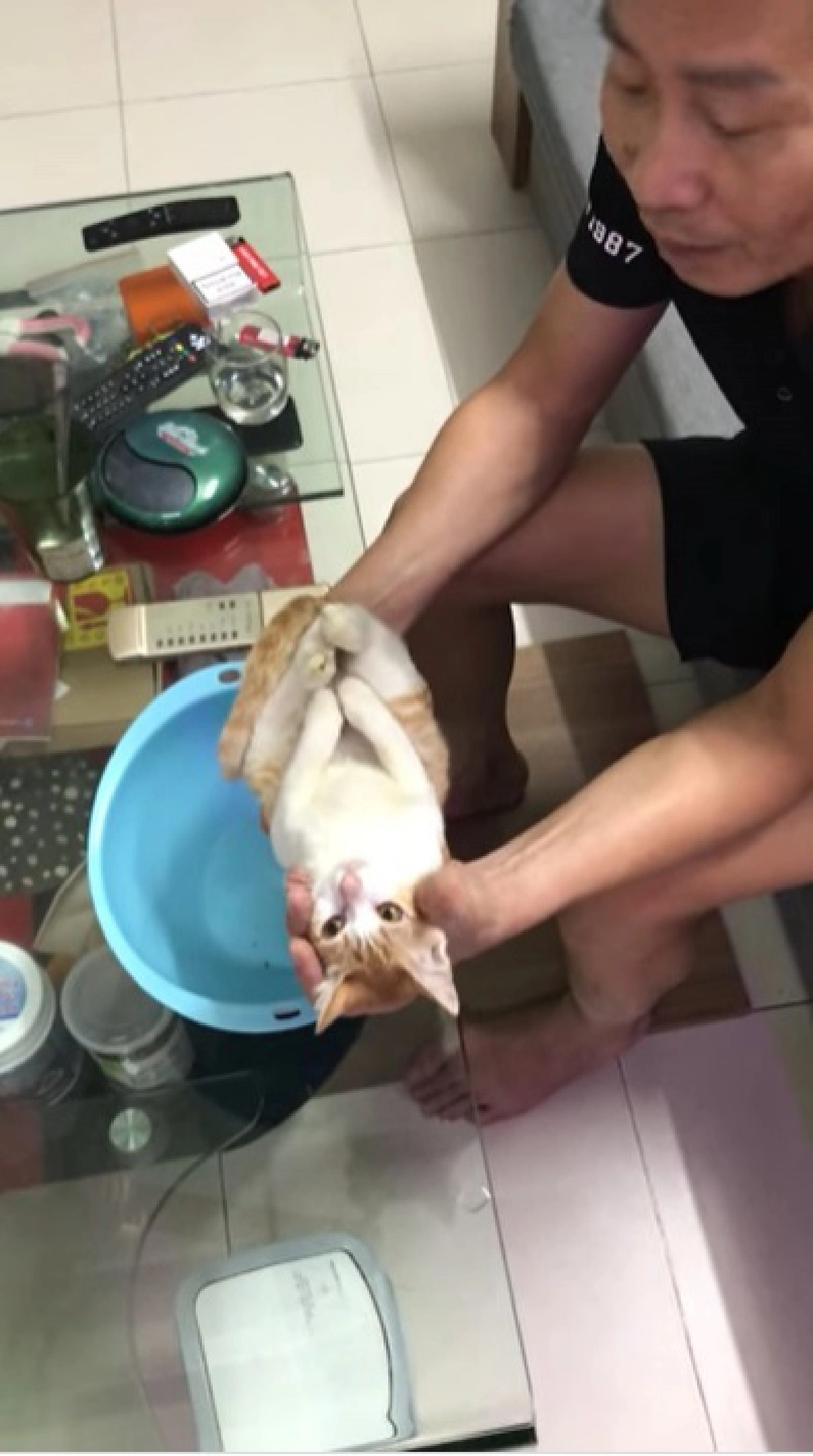 คลิปไวรัลจากเวียดนาม ว่าที่คุณปู่สาธิตวิธีอาบน้ำเบบี๋โดยใช้น้องเหมียวเป็นสื่อการสอน  
