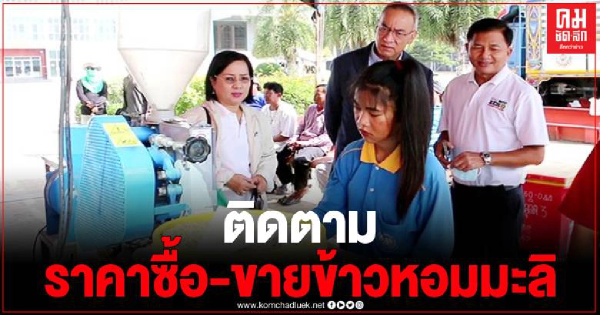 ผู้ตรวจกระทรวงพาณิชย์ลงพื้นที่เกาะติดสถานการณ์ราคารับซื้อข้าวหอมมะลิเมืองชาละวัน