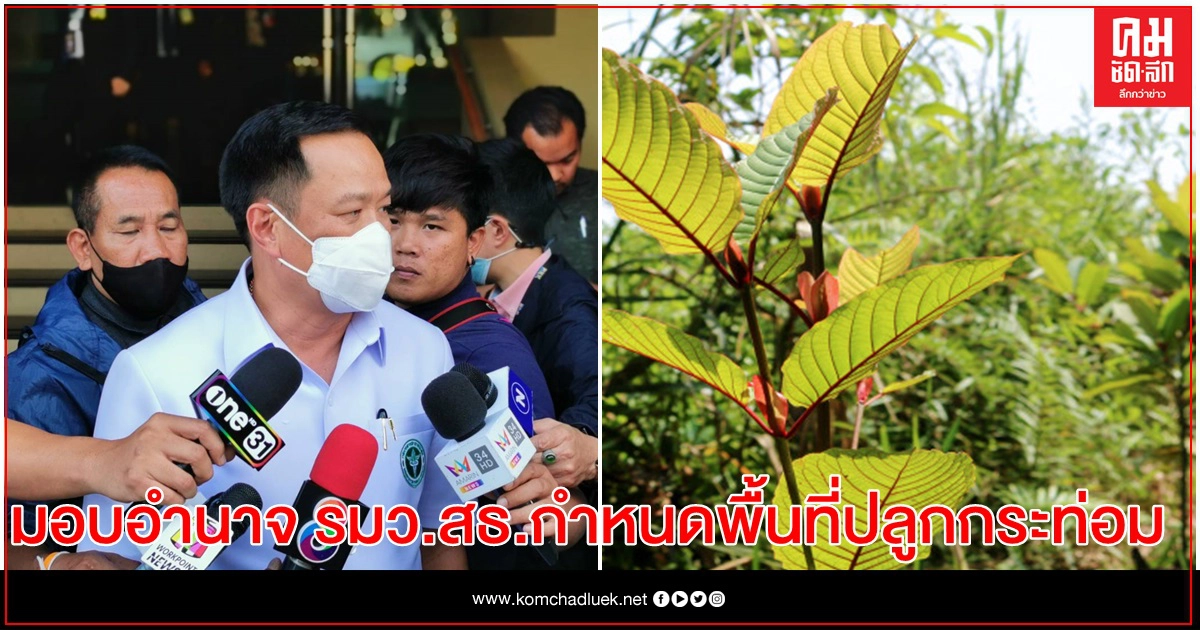 ที่ประชุม ป.ป.ส. มอบอำนาจ รมว.สธ.กำหนดพื้นที่ปลูกกระท่อม135 แห่งทั่วภาคใต้ 