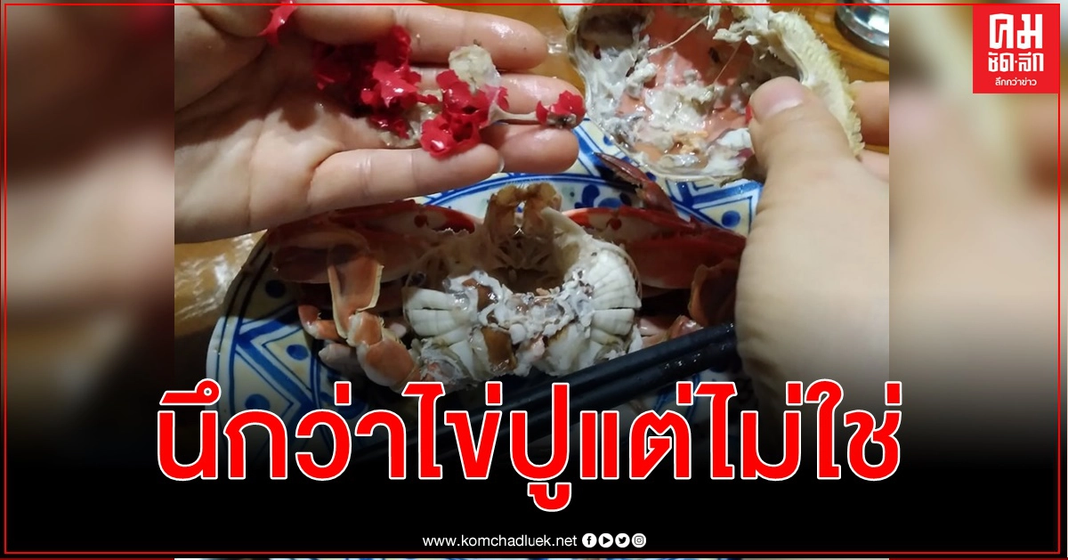 หญิงไต้หวันอ้างเจอเศษพลาสติกสีแดงหลายชิ้นในท้องปู 
