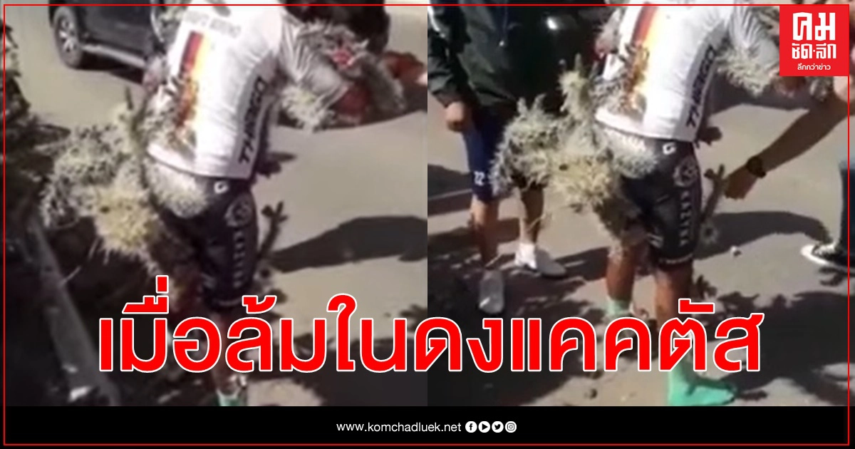 นักปั่นอาร์เจนตินา เสียหลักล้มในดงกระบองเพชร หนามตำทั่วตัว 