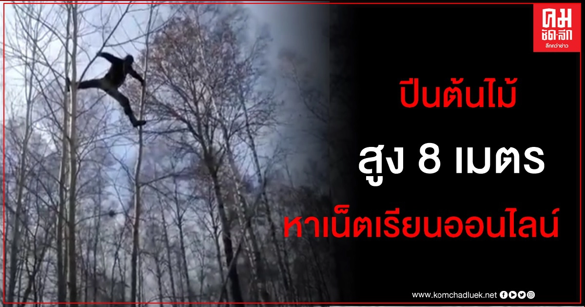 นศ.รัสเซียปีนต้นไม้สูง 8 เมตรเพื่อเรียนออนไลน์ ทนไม่ไหว อัดคลิปวอนทางการช่วย นศ.รัสเซียปีนต้นไม้สูง 8 เมตรเพื่อเรียนออนไลน์ ทนไม่ไหว อัดคลิปวอนทางการช่วย