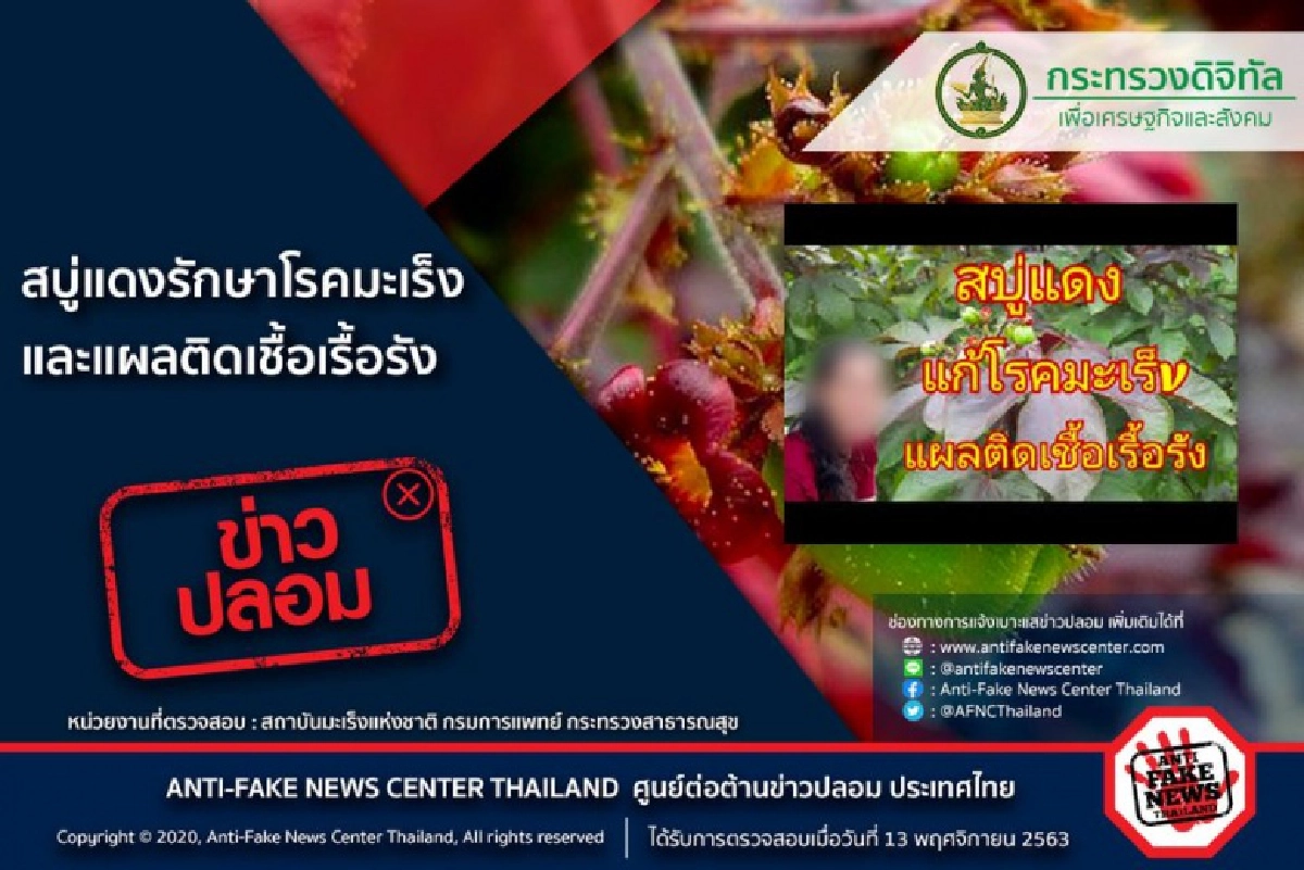 สมุนไพร, สบู่แดง, มะเร็ง, รักษามะเร็ง
