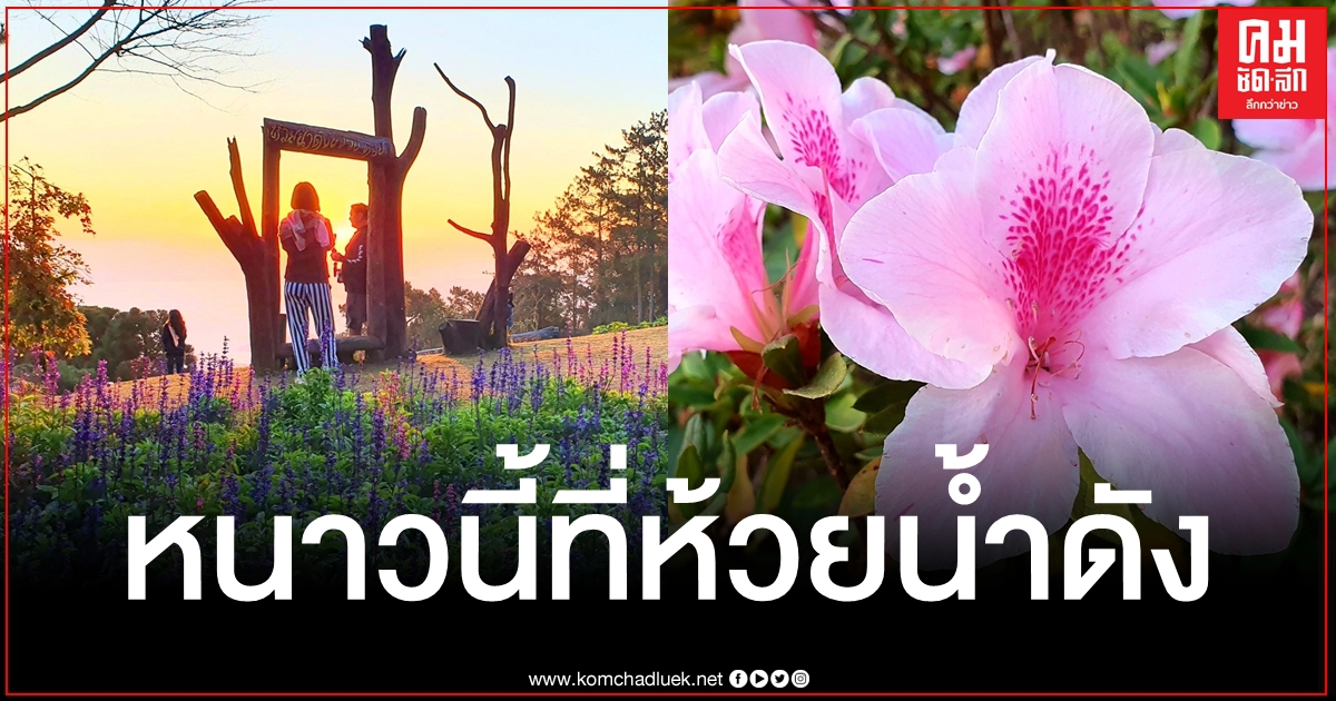 มากี่ครั้งก็ฟิน "อุทยานแห่งชาติห้วยน้ำดัง" อีกหนึ่งมนต์เสน่ห์ที่เที่ยวหน้าหนาว มากี่ครั้งก็ฟิน "อุทยานแห่งชาติห้วยน้ำดัง" อีกหนึ่งมนต์เสน่ห์ที่เที่ยวหน้าหนาว