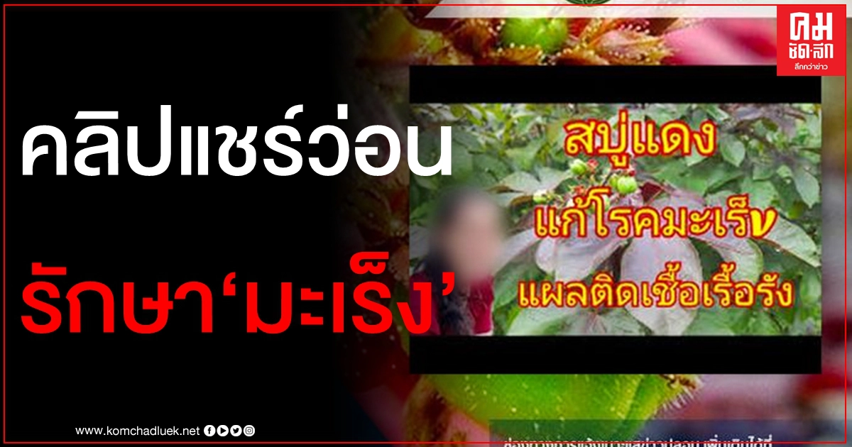 มาอีกแล้ว เพจดังเบรกชาวเน็ตหลังแชร์ว่อน สบู่แดงรักษามะเร็ง - แผลติดเชื้อเรื้อรัง มาอีกแล้ว เพจดังเบรกชาวเน็ตหลังแชร์ว่อน สบู่แดงรักษามะเร็ง - แผลติดเชื้อเรื้อรัง