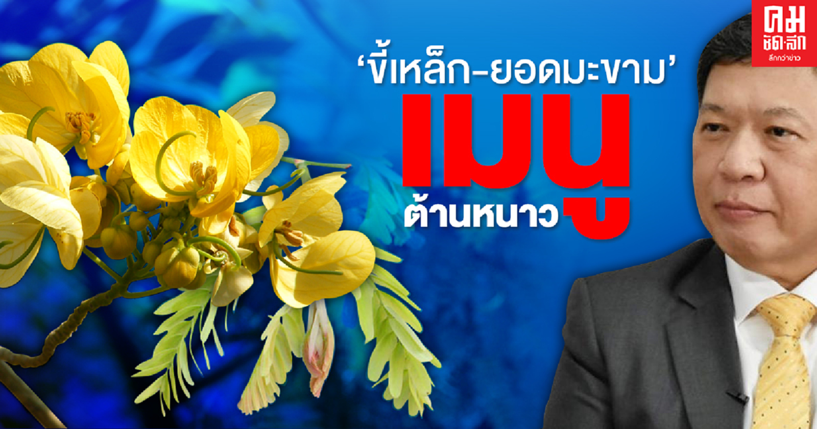 รู้ยัง...'ขี้เหล็ก-ยอดมะขาม' เมนูต้านหนาว