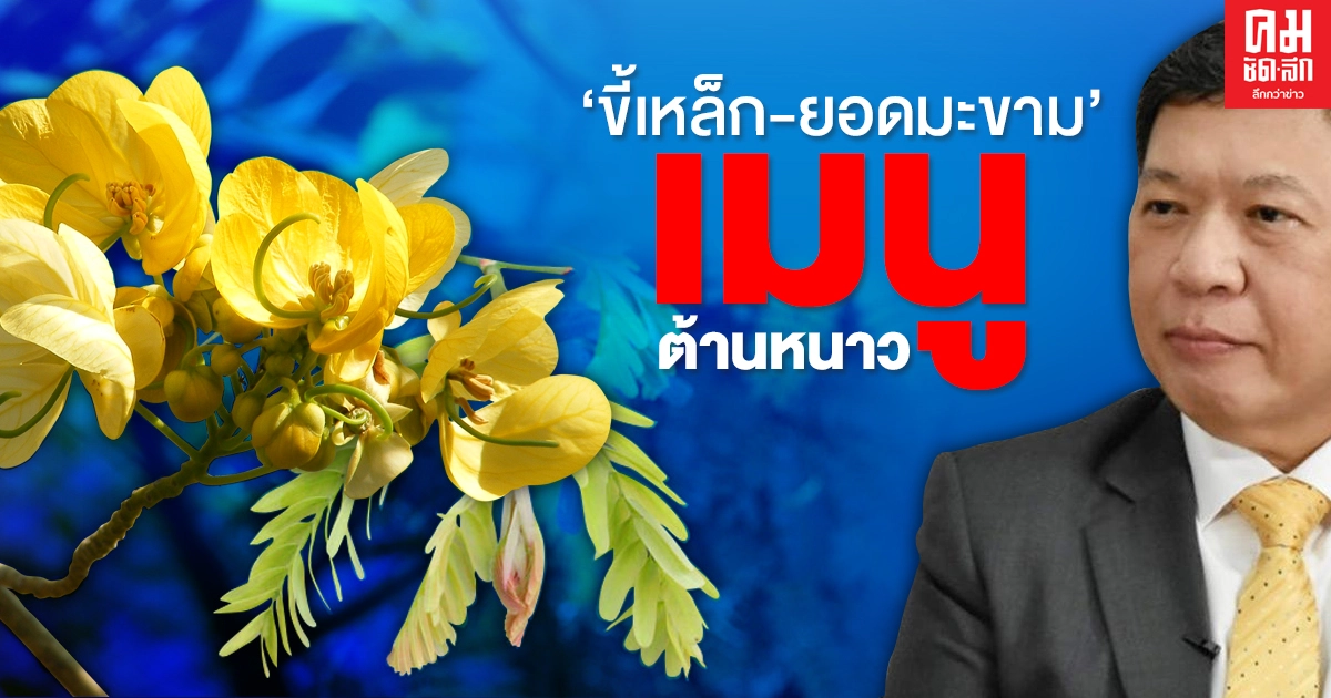 รู้ยัง...'ขี้เหล็ก-ยอดมะขาม' เมนูต้านหนาว