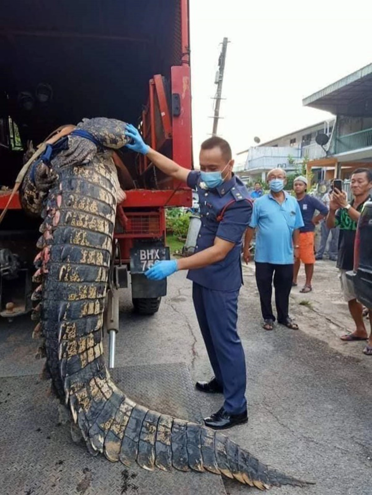 ไม่น่าเลย จระเข้ยักษ์อายุ 80 ปีติดคลองระบายน้ำ กู้ภัยรุดช่วยแต่ชาวบ้านลงมือไปก่อนแล้ว 