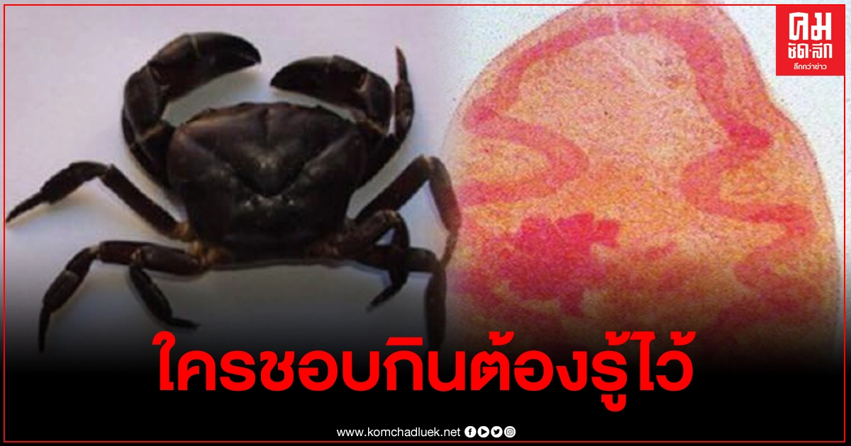 ใครกินชอบกินปูน้ำจืดดิบ เกิดอาการไอเรื้อรัง เจ็บหน้าอก อาจมีพยาธิที่ปอด ใครกินชอบกินปูน้ำจืดดิบ เกิดอาการไอเรื้อรัง เจ็บหน้าอก อาจมีพยาธิที่ปอด