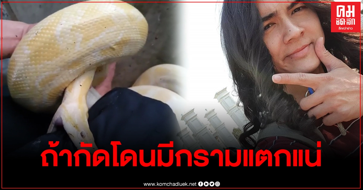 "แน็ก ชาลี" ถูกงูเหลือมงับเข้าเป้า คุยโม้ถ้ากัดโดนเจ้าโลก ฟันคงหักหมดปาก "แน็ก ชาลี" ถูกงูเหลือมงับเข้าเป้า คุยโม้ถ้ากัดโดนเจ้าโลก ฟันคงหักหมดปาก