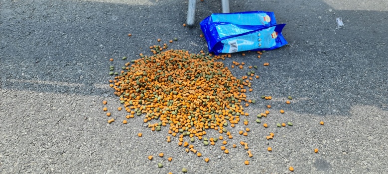 ตำรวจตรึงกำลังทำเนียบฯรับมือม็อบไล่รัฐบาล