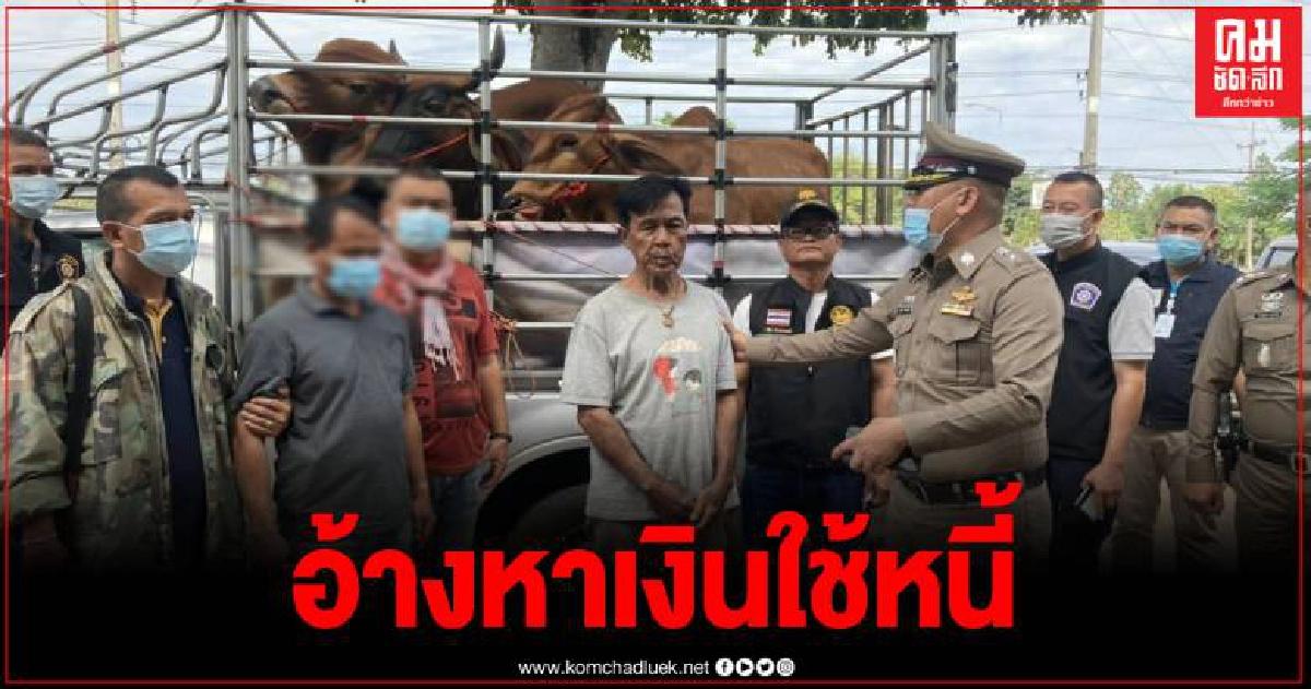 จับ 2 พ่อลูกแก๊งนายฮ้อยตระเวนลักวัว ควาย ขายตามตลาดนัด