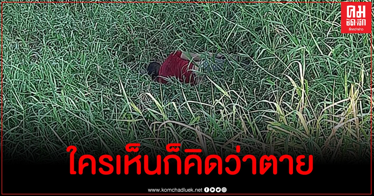 สุดพีค หนุ่มเสื้อแดงนอนบนพงหญ้า พอ จนท.มาทำฮากลิ้ง เจ้าตัวลุกขึ้นเฉย