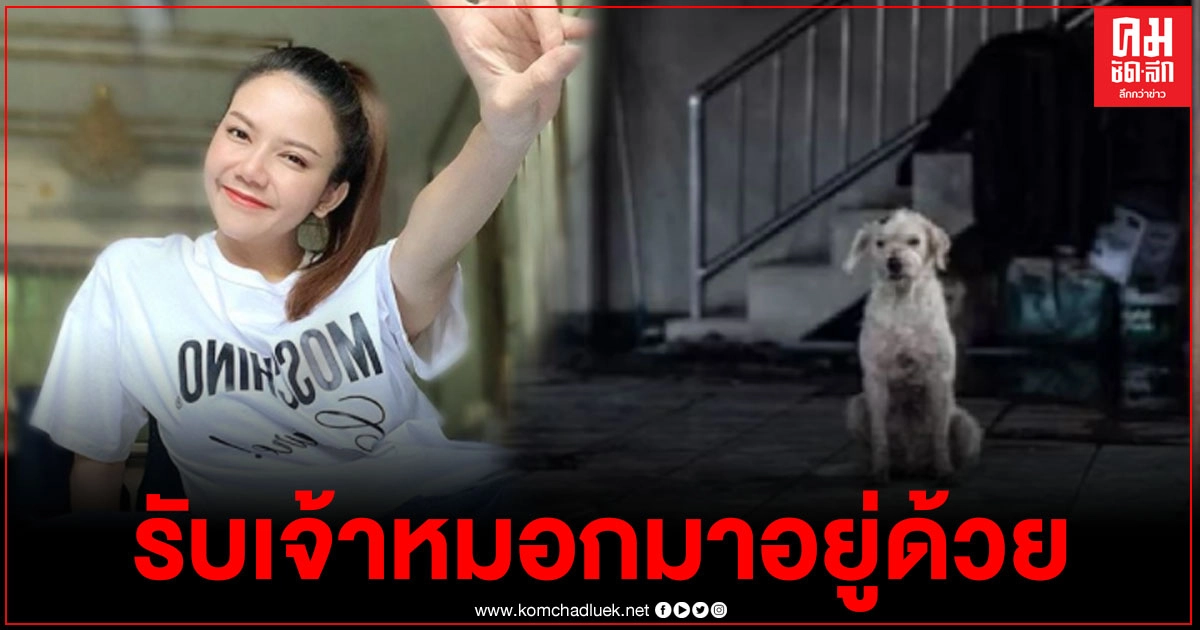 "จ๊ะ อาร์สยาม" รับเลี้ยงเจ้าหมอก สุนัขผู้ซื่อสัตย์ปกป้องบ้านจากเหตุท่อก๊าซระเบิดจนนาทีสุดท้าย "จ๊ะ อาร์สยาม" รับเลี้ยงเจ้าหมอก สุนัขผู้ซื่อสัตย์ปกป้องบ้านจากเหตุท่อก๊าซระเบิดจนนาทีสุดท้าย