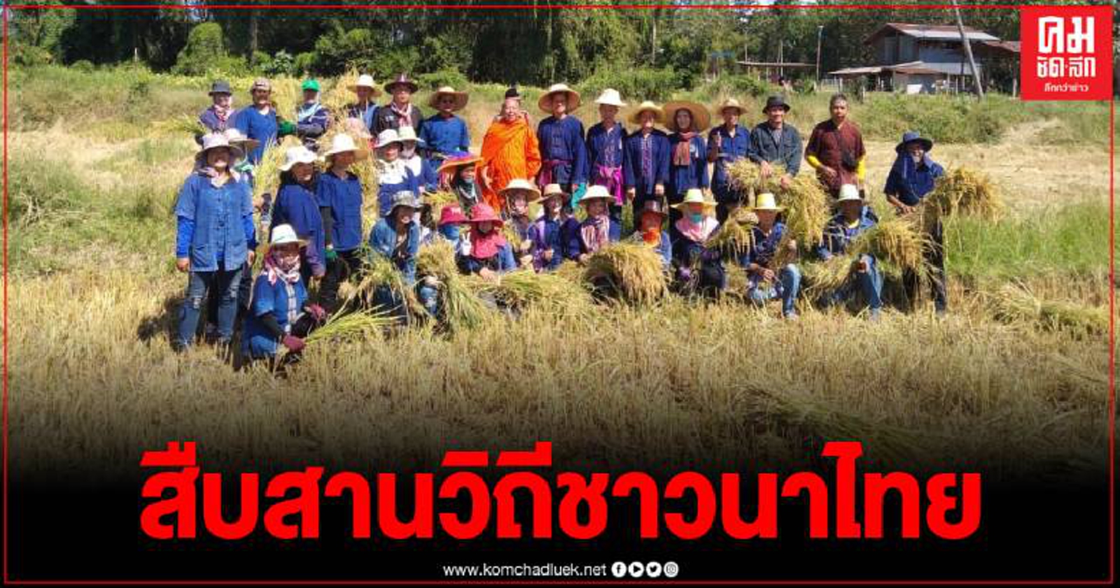 ชาวหล่มสัก สืบสานประเพณีลงแขกเกี่ยวข้าว เกี่ยวบุญ จัดสร้างเจดีย์ข้าว ขนาด 5 ตัน