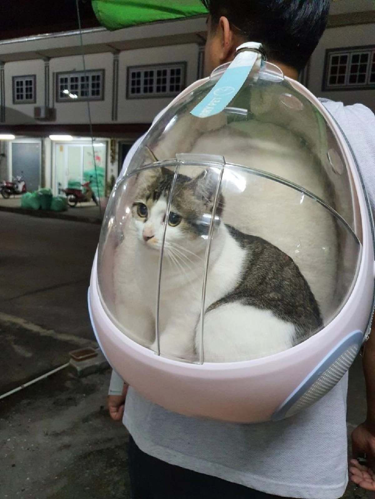 สุดฮา พ่อบ้านใจกล้าซ่อนเงินเมีย งานนี้โป๊ะแตกเจอเจ้าเหมียวฟ้อง