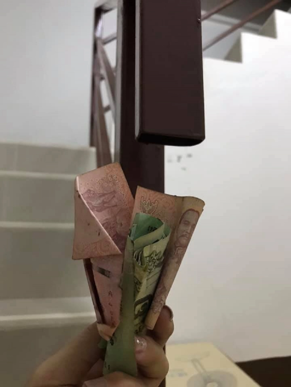 สุดฮา พ่อบ้านใจกล้าซ่อนเงินเมีย งานนี้โป๊ะแตกเจอเจ้าเหมียวฟ้อง