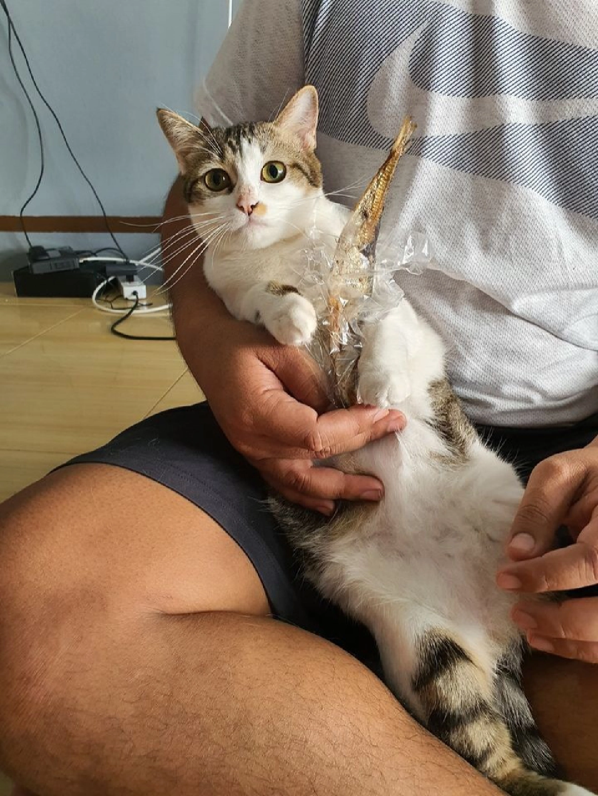 สุดฮา พ่อบ้านใจกล้าซ่อนเงินเมีย งานนี้โป๊ะแตกเจอเจ้าเหมียวฟ้อง