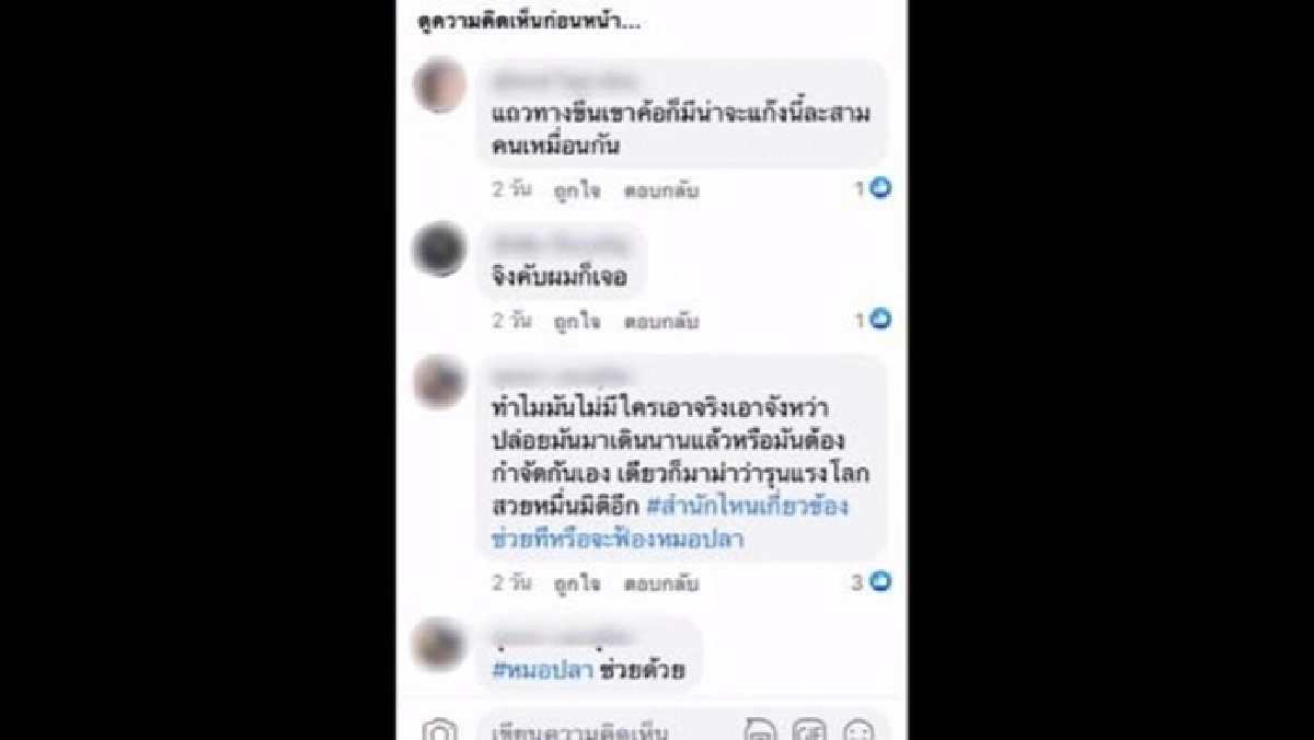 หนุ่มแฉเล่ห์แก๊งโล้นห่มเหลืองป่วนเพชรบูรณ์ โบกรถขอเงินนักท่องเที่ยวรายทาง