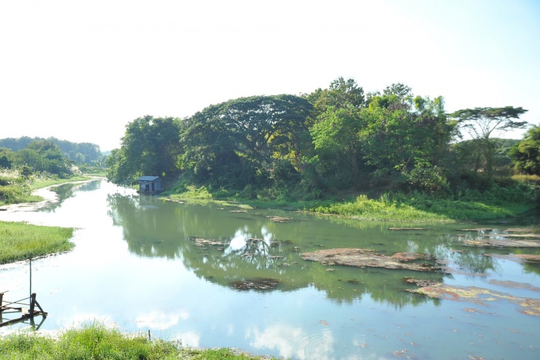  "ธรรมนัส"   Kick off เกี่ยวข้าวหอมมะลิปี 2563 จ.พะเยา พร้อมรับปัญหาของเกษตรกร
