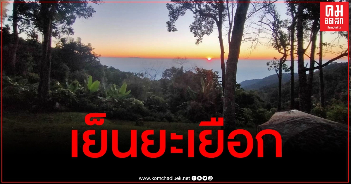 เชียงใหม่คึกคัก นักท่องเที่ยวทะลักดอยอินทนนท์ - กิ่วแม่ปานเช้านี้ 6 องศาฯ เชียงใหม่คึกคัก นักท่องเที่ยวทะลักดอยอินทนนท์ - กิ่วแม่ปานเช้านี้ 6 องศาฯ