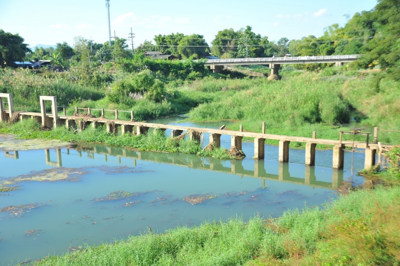  "ธรรมนัส"   Kick off เกี่ยวข้าวหอมมะลิปี 2563 จ.พะเยา พร้อมรับปัญหาของเกษตรกร