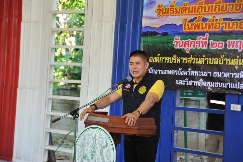  "ธรรมนัส"   Kick off เกี่ยวข้าวหอมมะลิปี 2563 จ.พะเยา พร้อมรับปัญหาของเกษตรกร