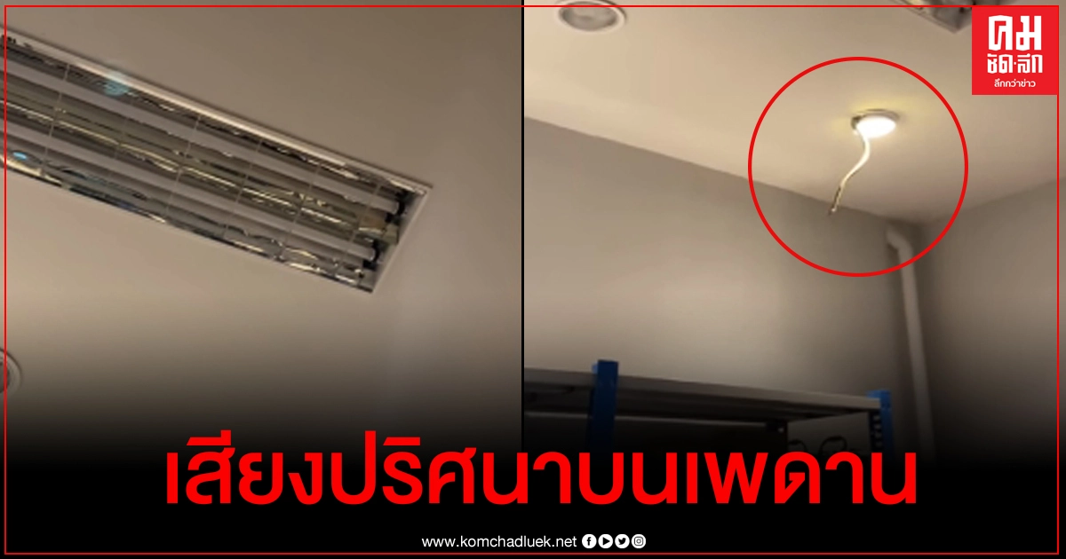 หลอดไฟที่มีงูออกมา หนุ่มร้องเสียงหลง หนีกระเจิง หลอดไฟที่มีงูออกมา หนุ่มร้องเสียงหลง หนีกระเจิง
