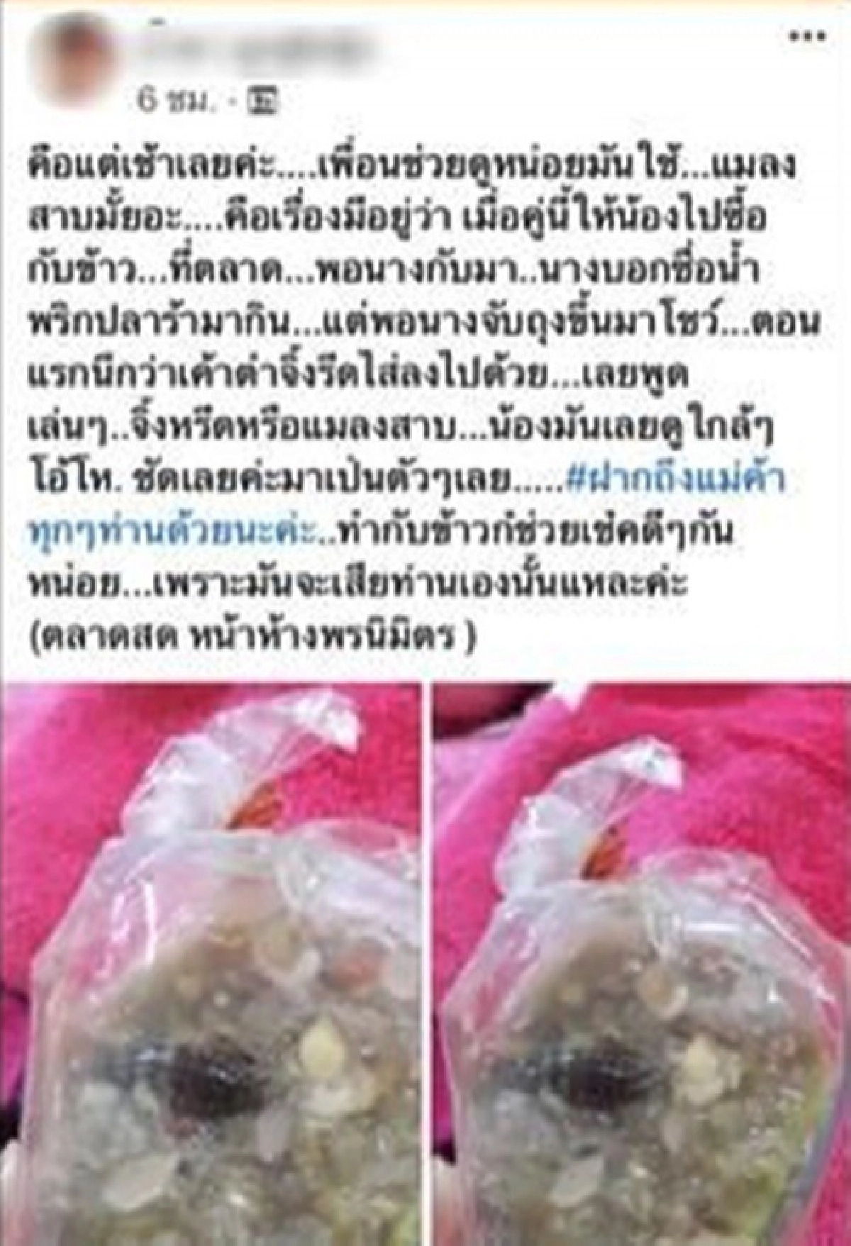 น้ำพริกปลาร้า, แมลงสาบ