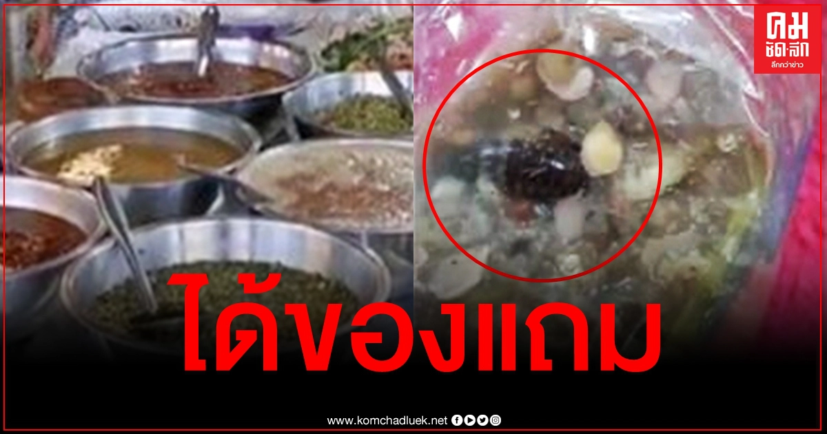 อวสานอาหารเช้า ซื้อน้ำพริกปลาร้าได้แมลงสาบเป็นของแถม แม่ค้าตลาดดังยันคนขายเป็นแม่ค้าจร อวสานอาหารเช้า ซื้อน้ำพริกปลาร้าได้แมลงสาบเป็นของแถม แม่ค้าตลาดดังยันคนขายเป็นแม่ค้าจร