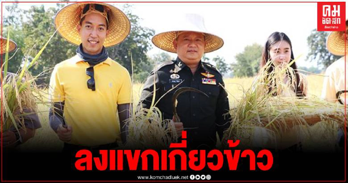 แม่ทัพภาคที่3 ลงแขกเกี่ยวข้าวหอมมะลิพระราชทาน รณรงค์ไถกลบตอซัง ลดปัญหาไฟป่าหมอกควัน แม่ทัพภาคที่3 ลงแขกเกี่ยวข้าวหอมมะลิพระราชทาน รณรงค์ไถกลบตอซัง ลดปัญหาไฟป่าหมอกควัน