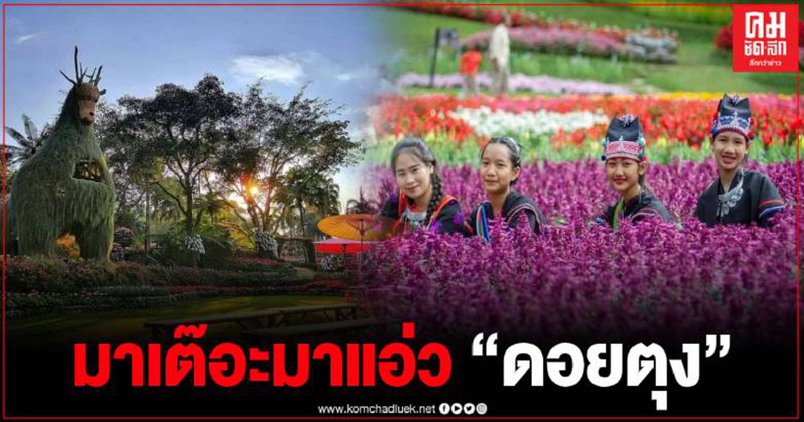 เชิญเที่ยวงานสีสันแห่งดอยตุง ครั้งที่ 7