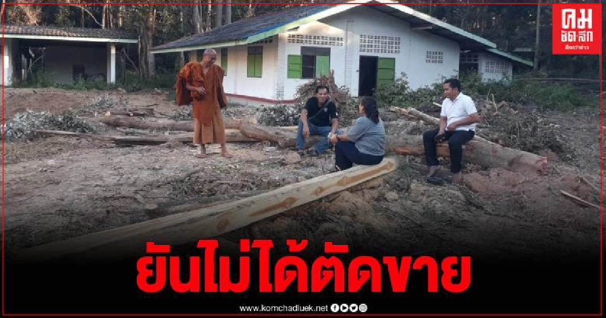 เจ้าอาวาส แจงชัด เหตุสั่งตัดต้นไม้กว่า 1 ไร่ เผยไม่ได้ให้ญาติตัดขาย เจ้าอาวาส แจงชัด เหตุสั่งตัดต้นไม้กว่า 1 ไร่ เผยไม่ได้ให้ญาติตัดขาย