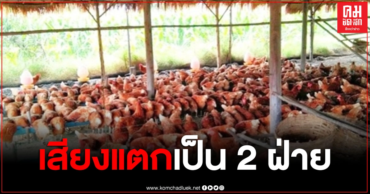 ชาวบ้านแตกเป็น 2 เสียง สร้างฟาร์มไก่พื้นที่ อ.สีคิ้ว เจ้าของยันต้องการสร้างงานสร้างอาชีพให้กับคนในท้องถิ่น ชาวบ้านแตกเป็น 2 เสียง สร้างฟาร์มไก่พื้นที่ อ.สีคิ้ว เจ้าของยันต้องการสร้างงานสร้างอาชีพให้กับคนในท้องถิ่น